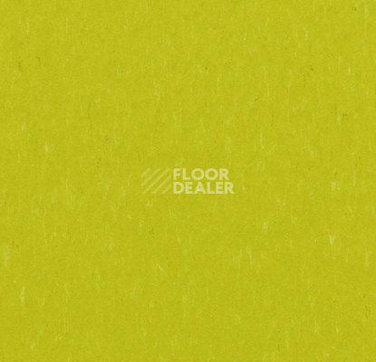 Линолеум Forbo Marmoleum Solid Piano 3646-364635 young grass фото 1 | FLOORDEALER